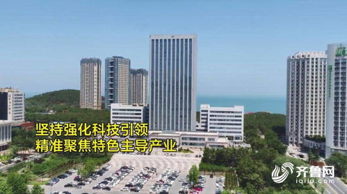 問政山東 威海高新區 面積不足全市1 40 貢獻41 的工業營業收入